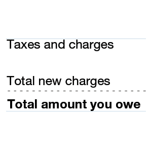 UnderstandBillModalImage