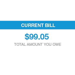 UnderstandBillModalImage