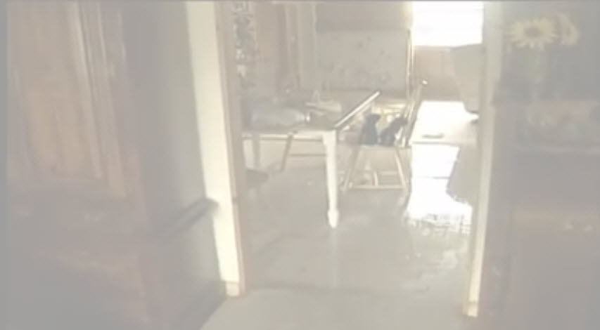FPL video about water damage