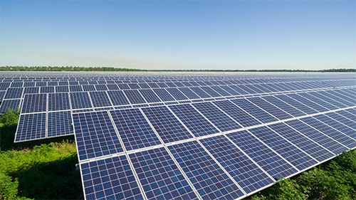 Solar field