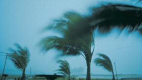 stormy weather